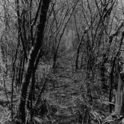 Historical Koko Crater Photos Historical Koko Crater Photos